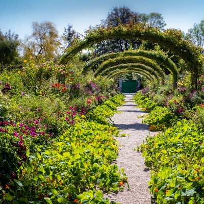 Allée fleurie et arches végétales des jardins de Claude Monet à Giverny, excursion culturelle depuis la Maison Le Catelier en Normandie
